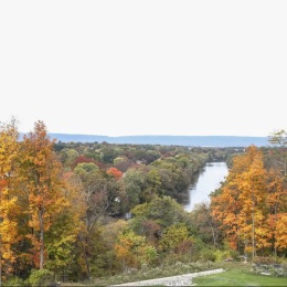 a river with fall foliage in Camp Hill, PA